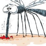 چگونه از شر حشرات و جانوران مزاحم خلاص شویم؟ | راهکار های دور کردن و از بین بردن حشرات